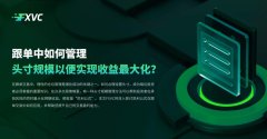 ​跟单中如何管理头寸规模以便实现收益最大化