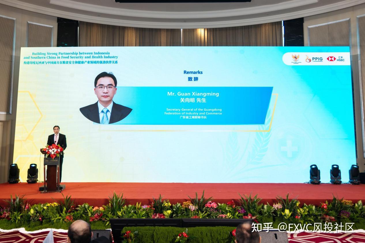 2026中印尼华南商务论坛圆满落幕|FXVC开启印尼出海战略新篇章